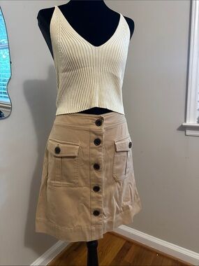 Ann Taylor Beige Skirt